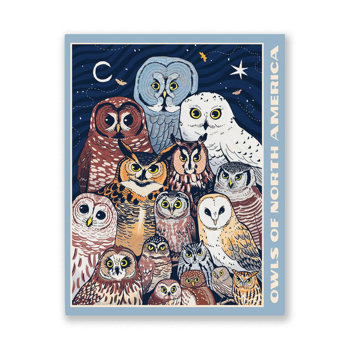 Owls of North America puzzle box art showing a cluster of owls on a dark night sky with Bird Collective branding.