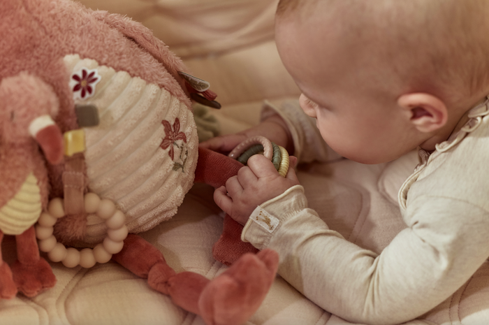 Peluche d'activités | Flamant rose