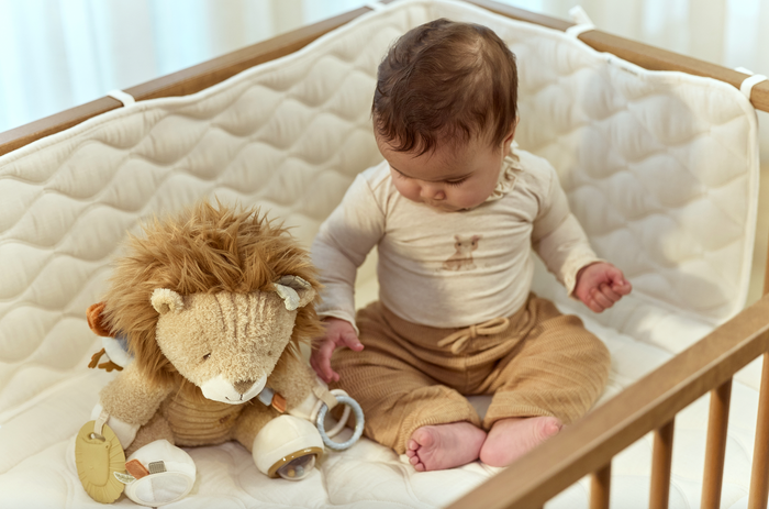 Peluche d'activités | Safari Friends Lion