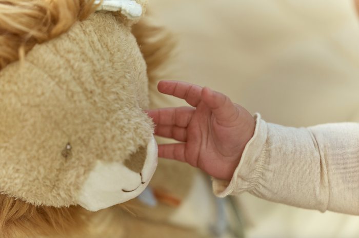 Peluche d'activités | Safari Friends Lion