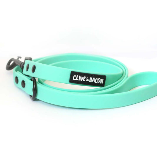 Pistachio Waterproof Dog Leash - Clive and Bacon