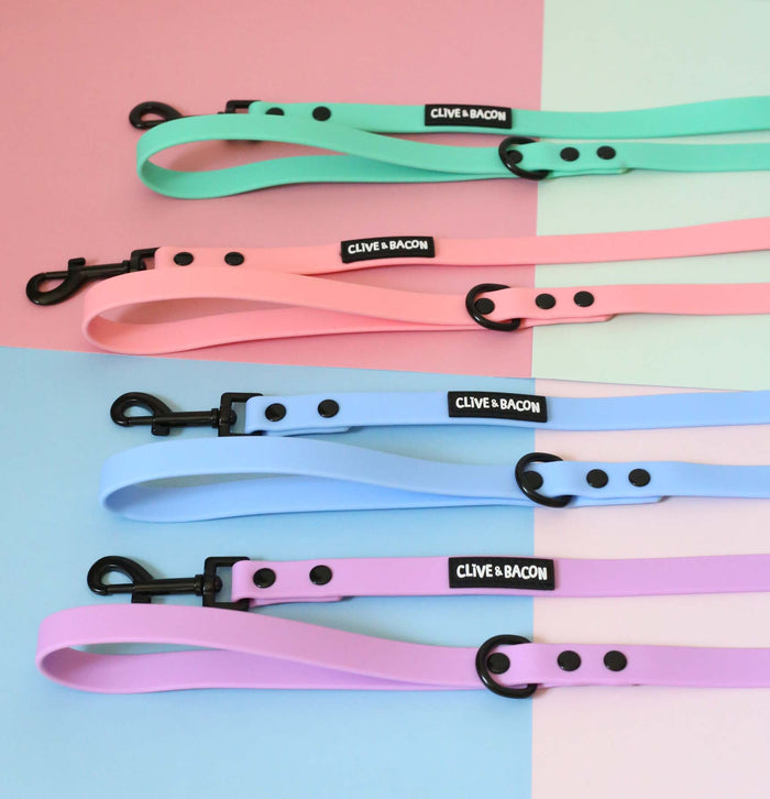 Pistachio Waterproof Dog Leash - Clive and Bacon