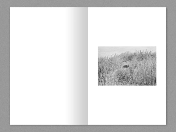 Sasha Arutyunova - Shelter