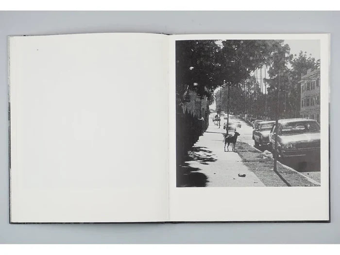 Scapes - John Divola