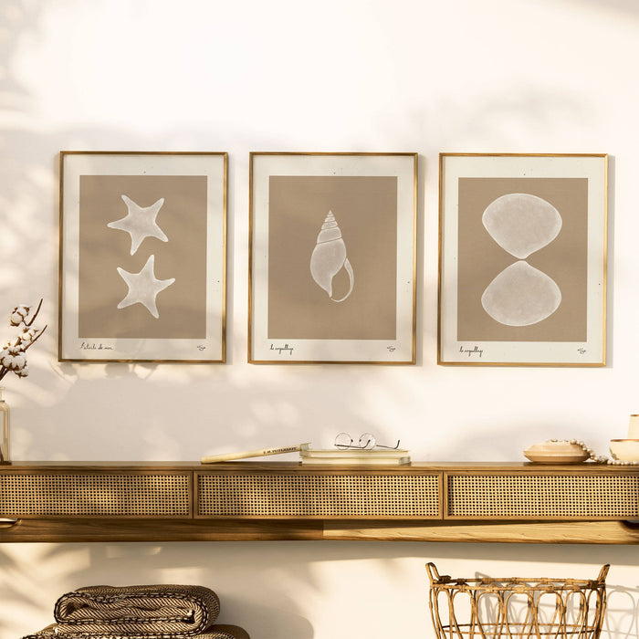 Sea Shell 2 | Seashell Art Print