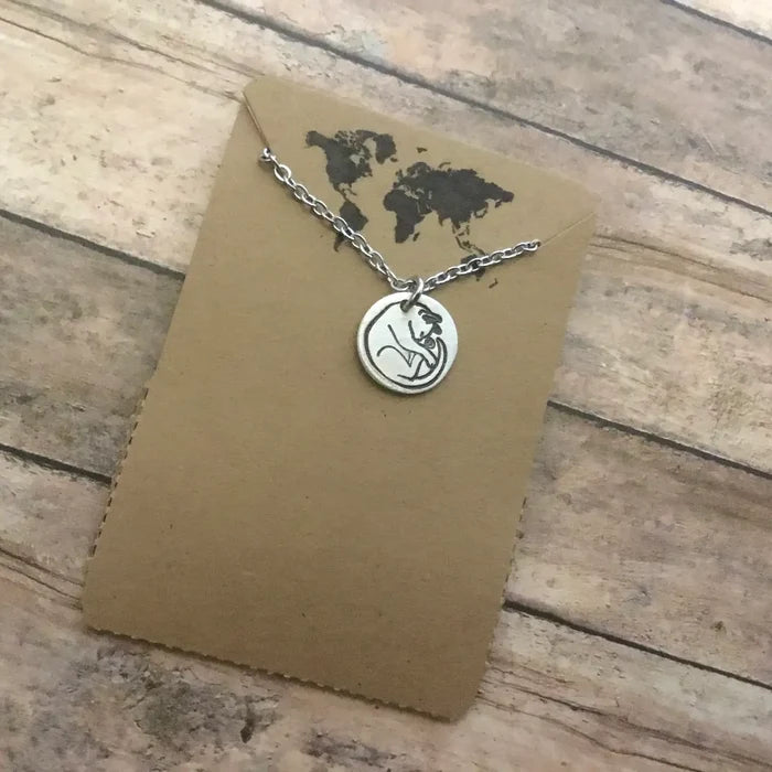 Sleeping cat necklace pendant on a round silver disc against a brown card with a world map