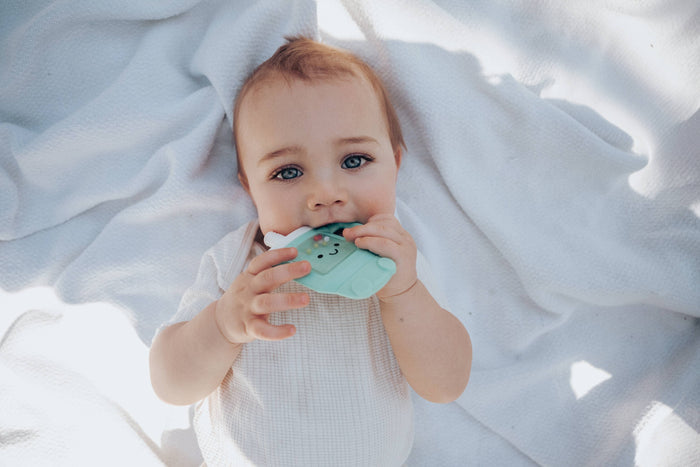 Sweetie Shake Plus  - Tumbler - Wee Bee Baby Boutique