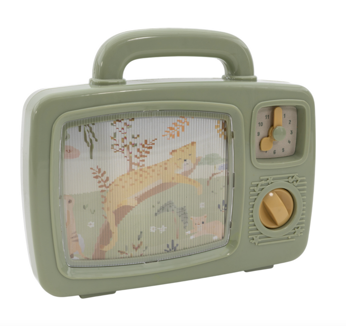 Télévision musicale | Safari Friends