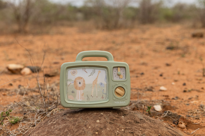 Télévision musicale | Safari Friends
