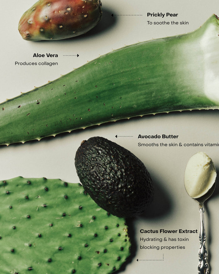 Illustration of aloe vera, avocado, cactus flower extract, and shea butter with text labels on a light background.