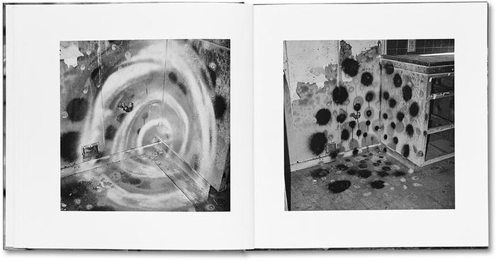 Vandalism - John Divola