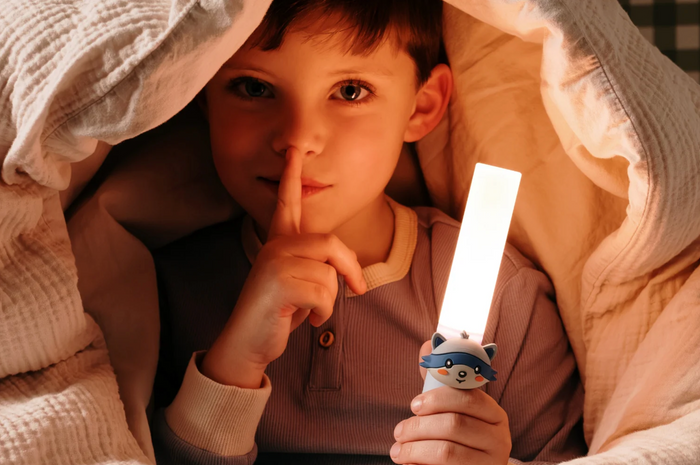 Veilleuse portable｜Raton