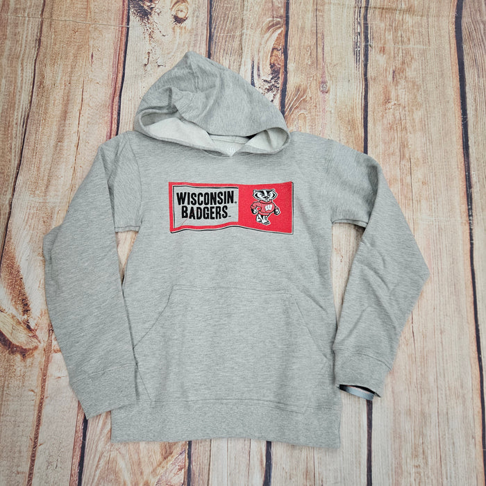 WES AND WILLY BADGERS YOUTH FLEECE HOODIE 433WIS172