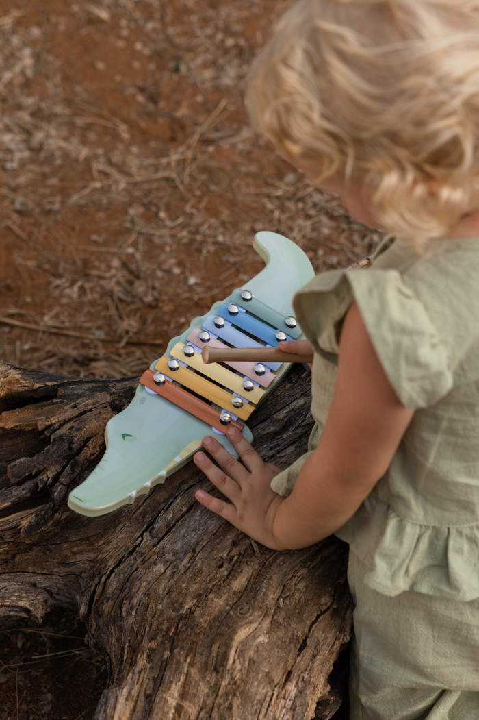 Xylophone crocodile | Safari Friends