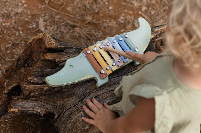 Xylophone crocodile | Safari Friends